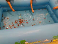 android_upload_pic-天和百货(华南MALL店)