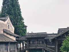-乌镇景区