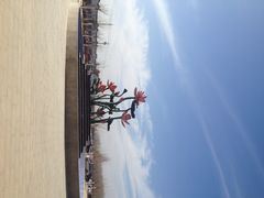 洛阳灵山莲花温泉度假区-灵山莲花公园-温泉度假区