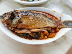 邮亭鲫鱼-曾老幺鱼庄(龙华商厦店)