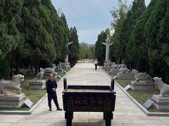 -龙口南山旅游景区