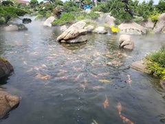 -罗红摄影艺术馆