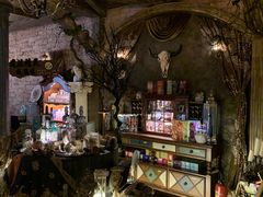 -雪灵魔法世界SHELLY’S TAROT(大良桂畔里店)