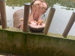 -常州淹城野生动物世界