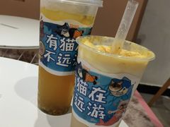 -猫儿山۰猫主题餐厅