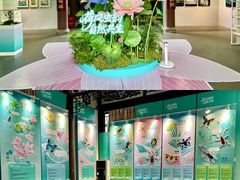 -惠州西湖风景名胜区-丰渚园