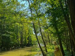 -桤木河湿地公园