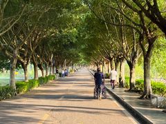 -风云岭森林公园