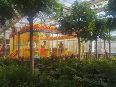 -南宫五洲植物乐园