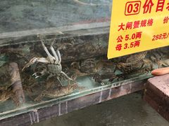 -喜洋洋蟹庄(阳澄湖店)
