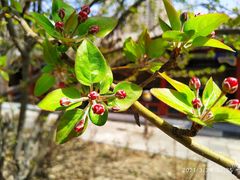 -大钟寺古钟博物馆