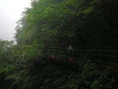 -山沟沟景区