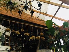-懒鱼时光馆(沙坪坝店)