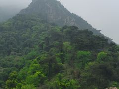 -南丹山森林王国