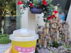 -快乐海鲜酒楼(滇池路店)