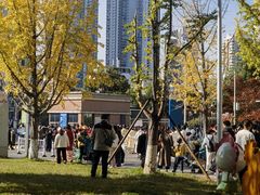 -长沙市青少年宫