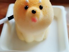 -柴犬高等学院·狗咖·柴犬售卖·宠物训练