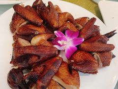 脆皮鸽-老洋房花园饭店(绍兴路店)