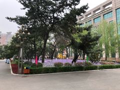 -辽宁省实验中学