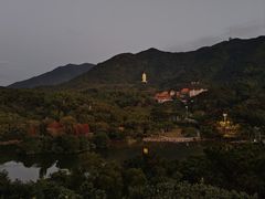 -深圳仙湖植物园