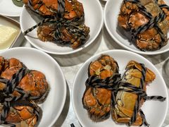 -张江海科雅乐轩聚聚乐