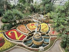 -南山植物园