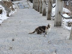 -终南山南五台景区