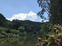 -深圳仙湖植物园
