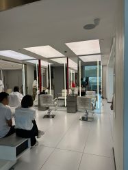 点击看大图 -金棕榈