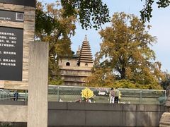-北京石刻艺术博物馆(五塔寺)