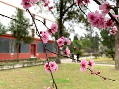 -四川大学(望江校区)
