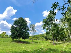 -中国科学院西双版纳热带植物园