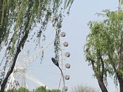 -石家庄市植物园