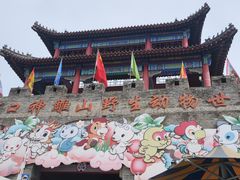 -西霞口神雕山野生动物世界