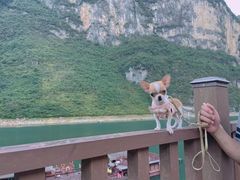 -乌江画廊(彭水苗族土家族自治县)