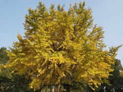 -苏州河梦清园环保主题公园