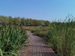 -永定河休闲森林公园