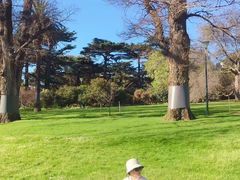 -墨尔本皇家植物园