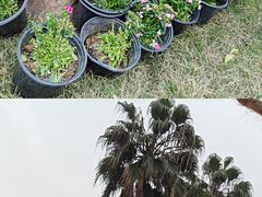 -海合安武汉极地海洋公园