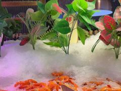 -炭烤麻里·臻选自助烤肉料理(观音桥大融城店)