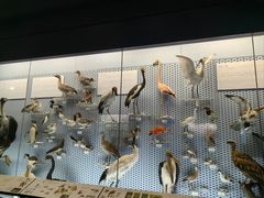 -浙江自然博物院(杭州馆)
