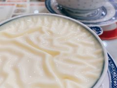招牌双皮奶-捷信牛奶甜品世家(柳巷店)