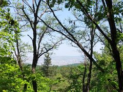 -帽儿山国家森林公园