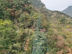 -秦岭天竺山生态文化旅游景区