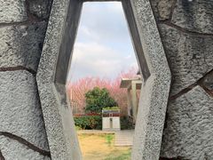-阿哈湖国家湿地公园