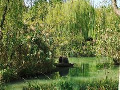 -青枫公园