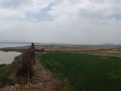 -漩门湾国家湿地公园