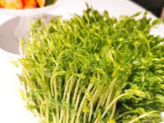 -红雀围·海鲜火锅(陆家嘴中心店)