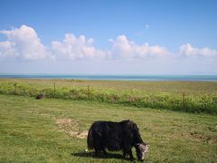 -青海湖国家重点风景名胜区