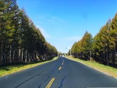 -塞罕坝国家级自然保护区